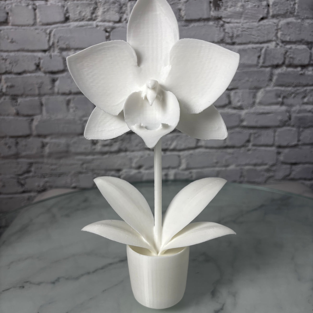 Orchidée en pot imprimée en 3D — Fil-O-Forme, vue 1