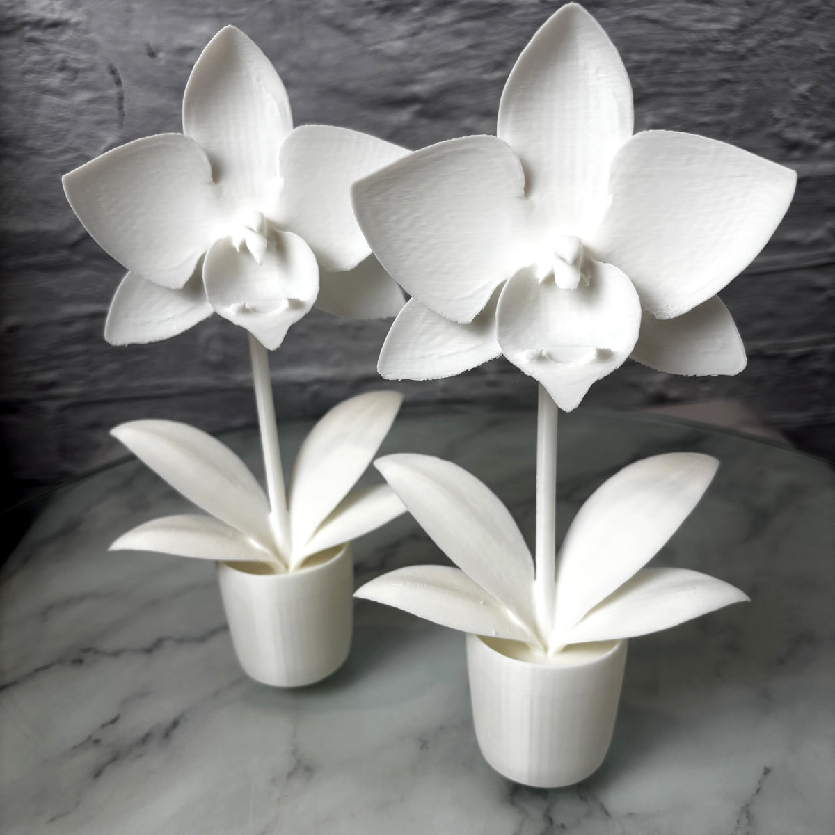 Orchidée en pot imprimée en 3D — Fil-O-Forme, vue 2