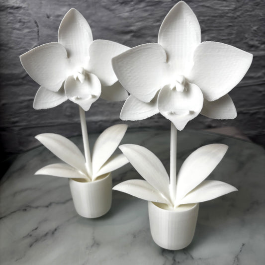 Orchidée en pot imprimée en 3D — Fil-O-Forme, vue 2