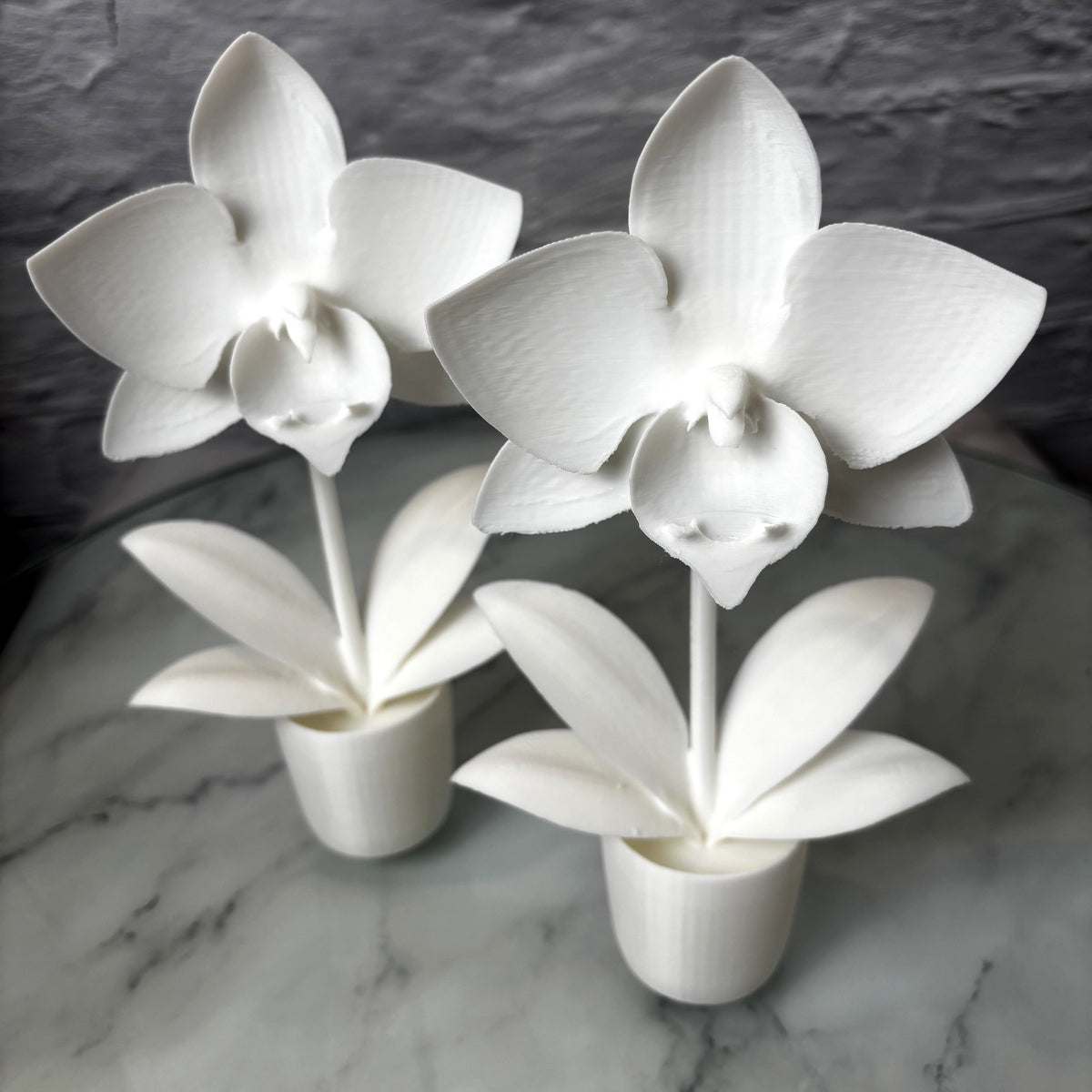 Orchidée en pot imprimée en 3D — Fil-O-Forme, vue 3