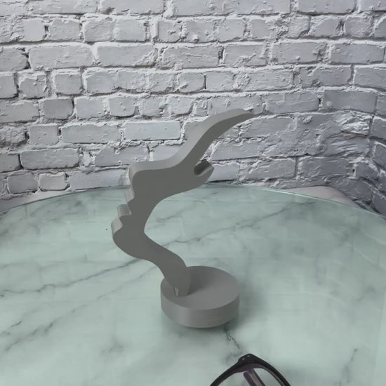 Support à lunettes imprimé en 3D — vidéo