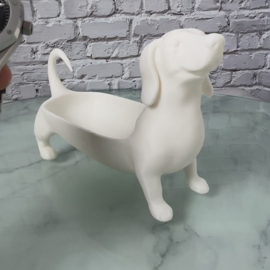 Vide-poche teckel blanc avec une montre